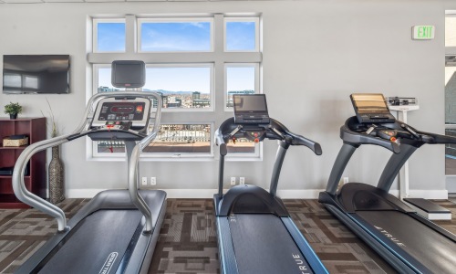 Luxury Two Bedroom Apartments & Amenities in LoDo, Denver Cover Image