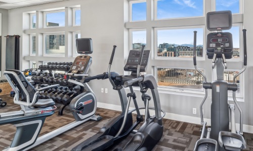 Luxury Studio Apartments & Amenities in in LoDo, Denver Cover Image