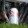 a can of beer on grass in a baseball glove