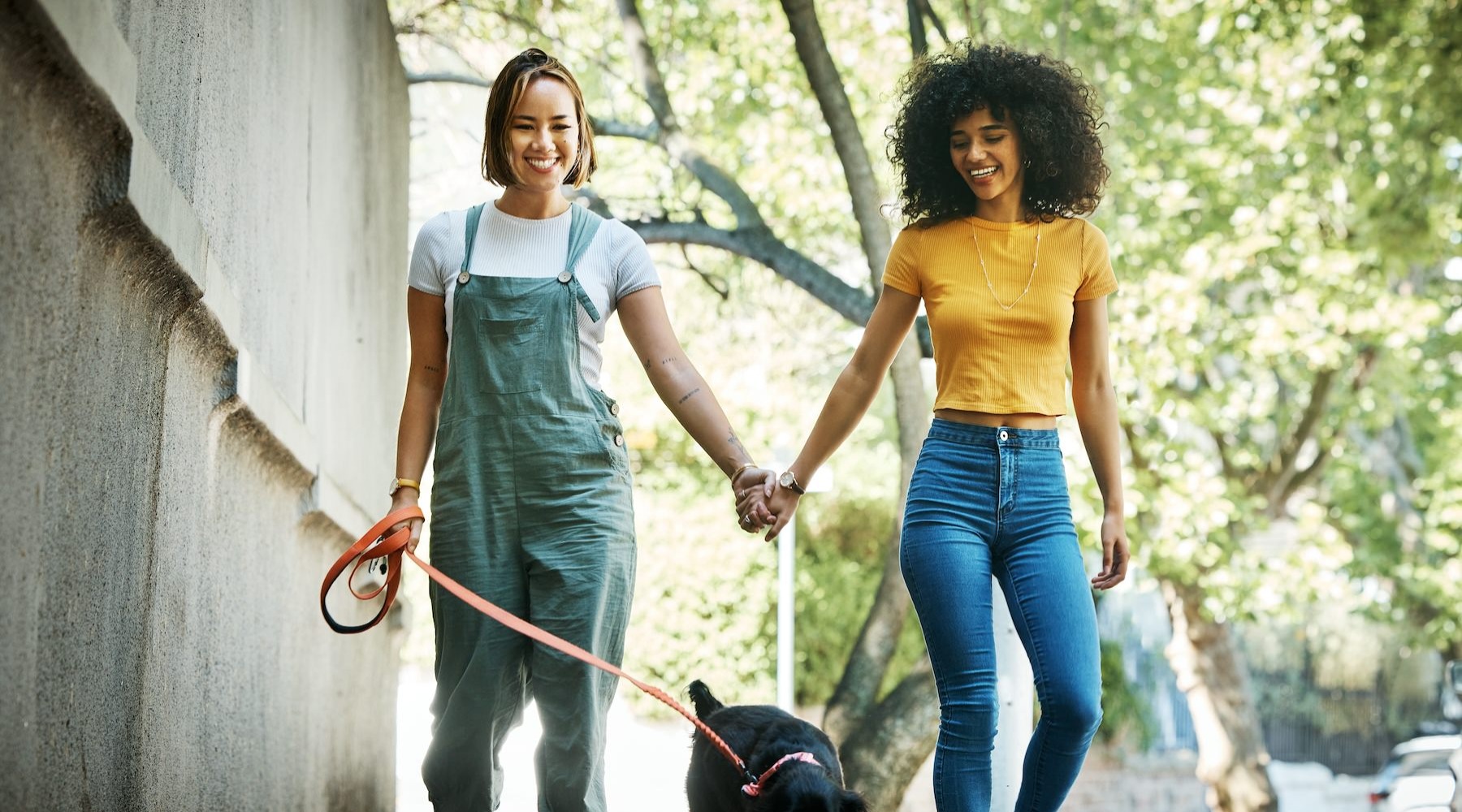 Love where you live a couple walking a dog together